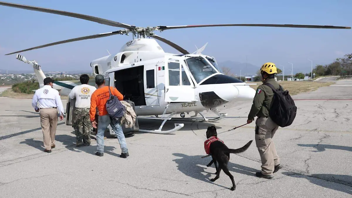 WhatsApp Image 2026-03-16 at 9.46.51 AM