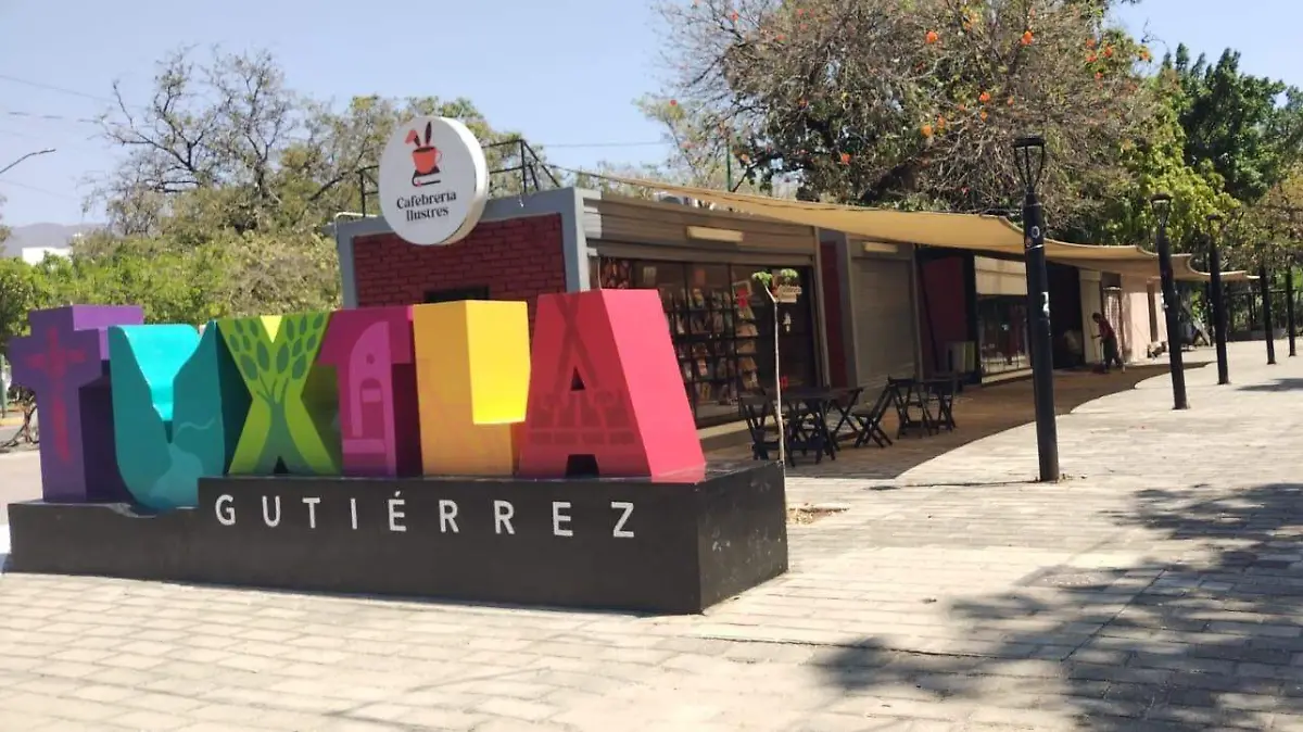 WhatsApp Image 2026-03-14 at 11.18.20 AM