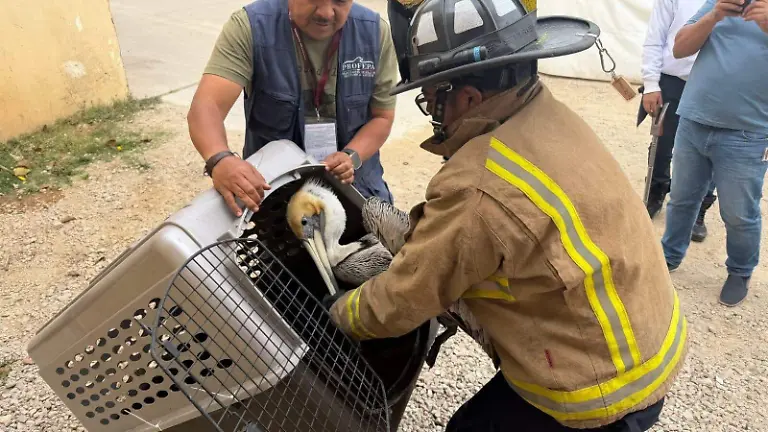 WhatsApp Image 2026-03-19 at 7.32.50 AM