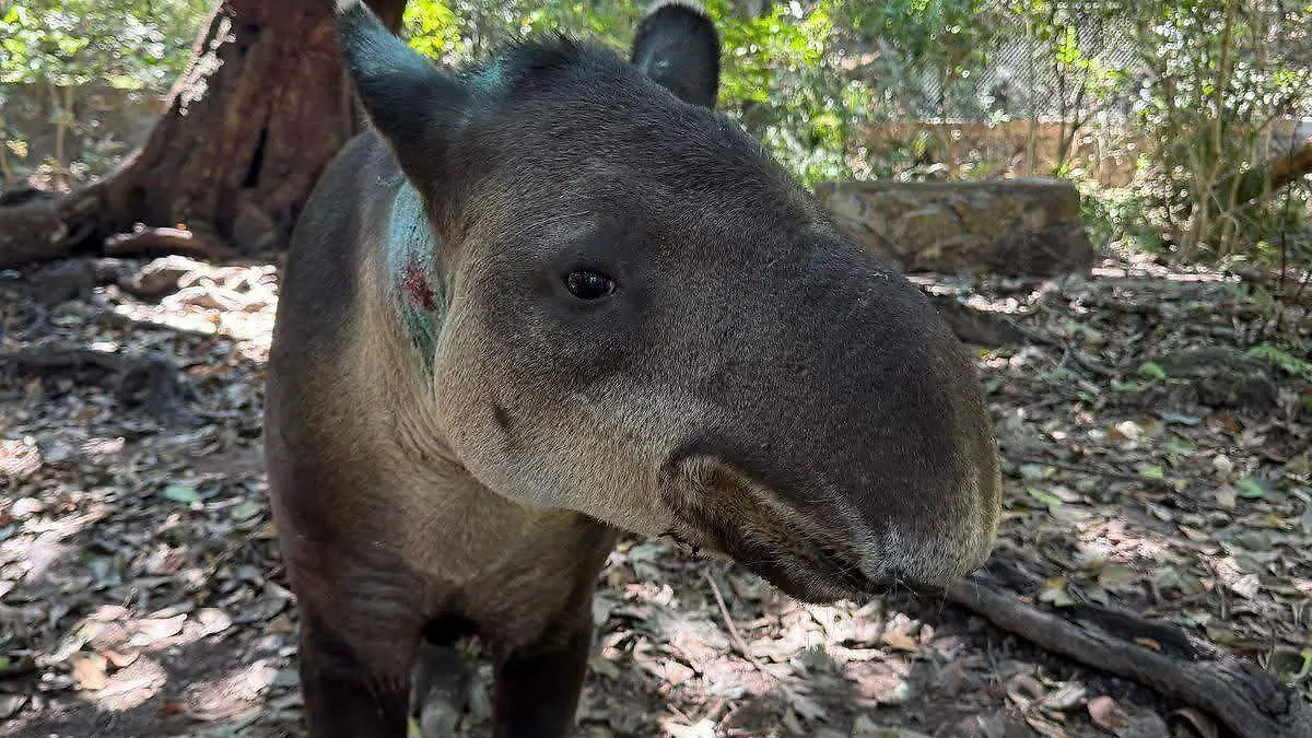 FB_IMG_1773944101215