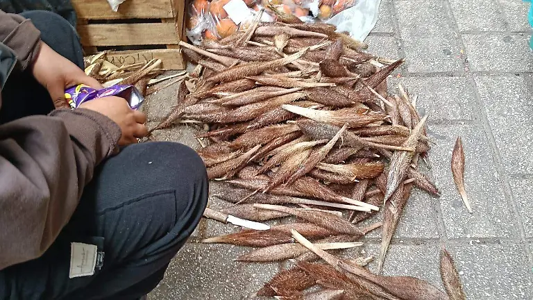 WhatsApp Image 2026-03-19 at 15.35.21 (2)