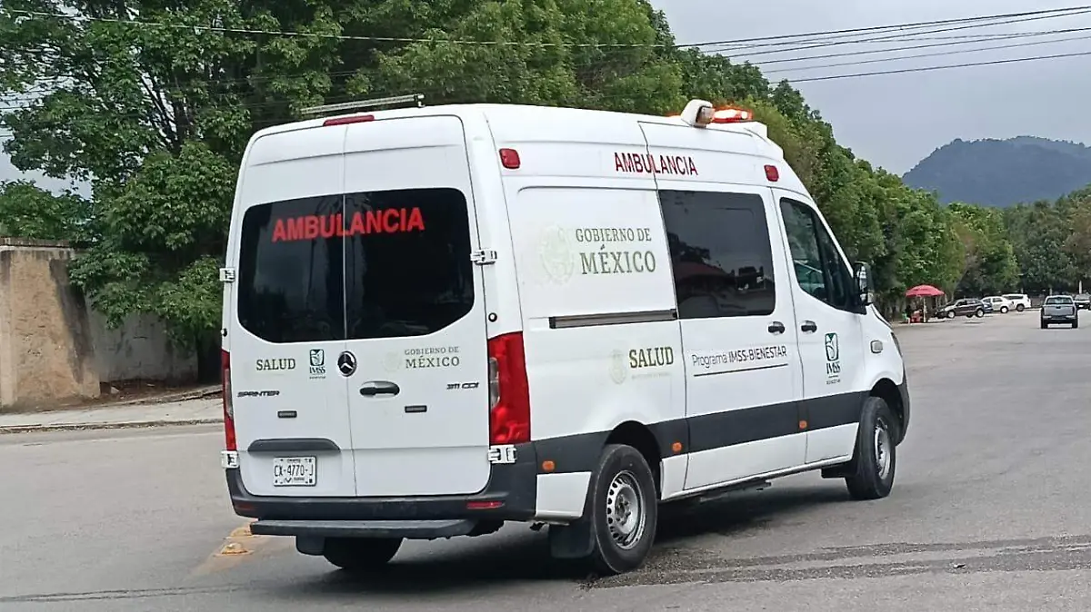 WhatsApp Image 2026-03-20 at 7.33.58 AM (1)