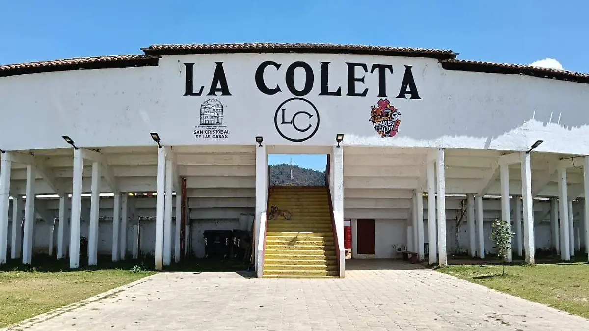 WhatsApp Image 2026-03-20 at 1.12.37 PM