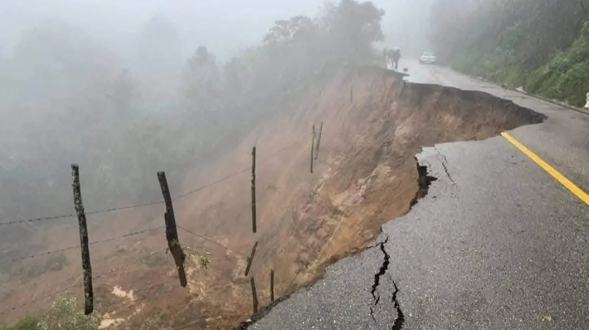 WhatsApp Image 2026-03-20 at 1.44.15 PM