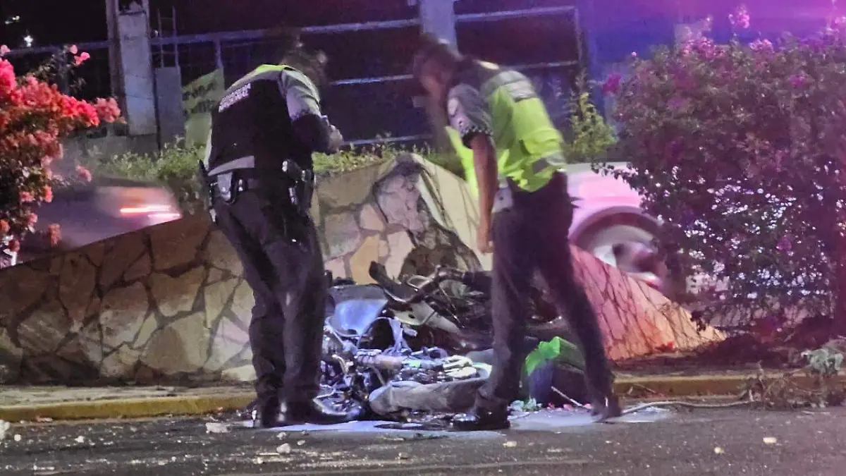 WhatsApp Image 2026-03-23 at 11.15.18 AM