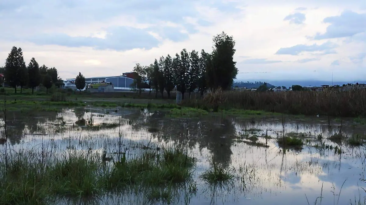 WhatsApp Image 2026-03-23 at 17.19.42 (2)