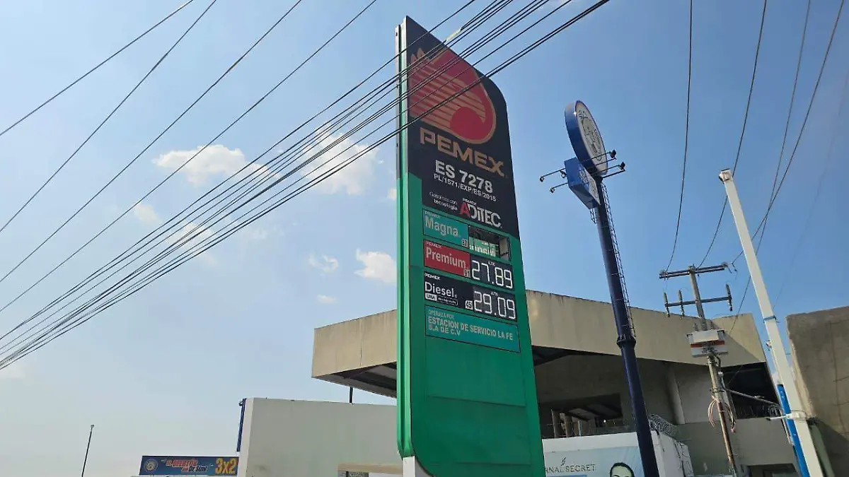 WhatsApp Image 2026-03-24 at 16.40.21 (1)