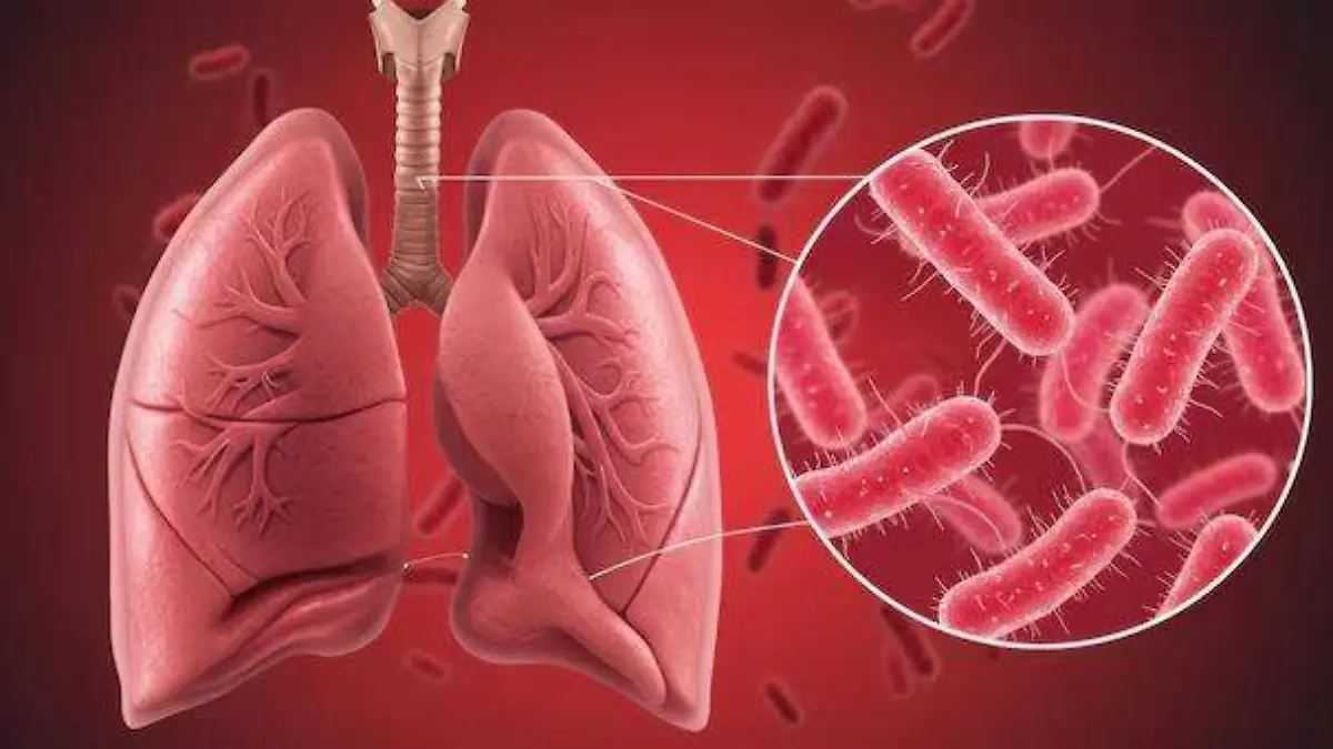 WhatsApp Image 2026-03-25 at 8.22.57 AM