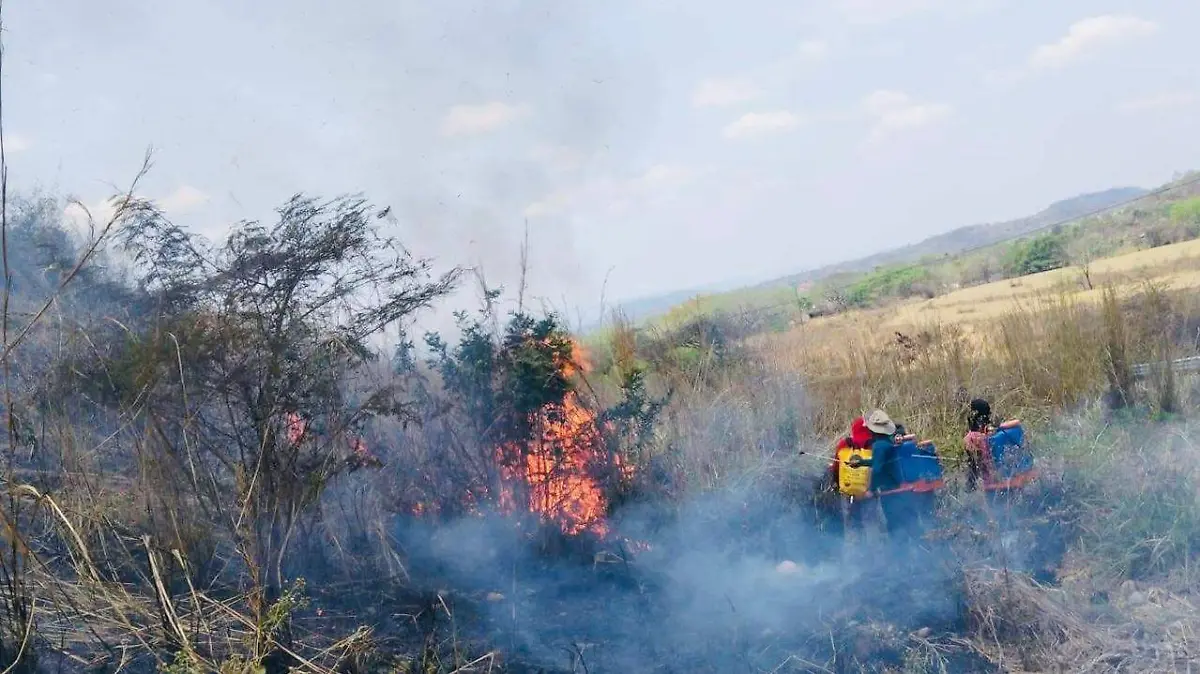 WhatsApp Image 2026-03-25 at 13.49.30