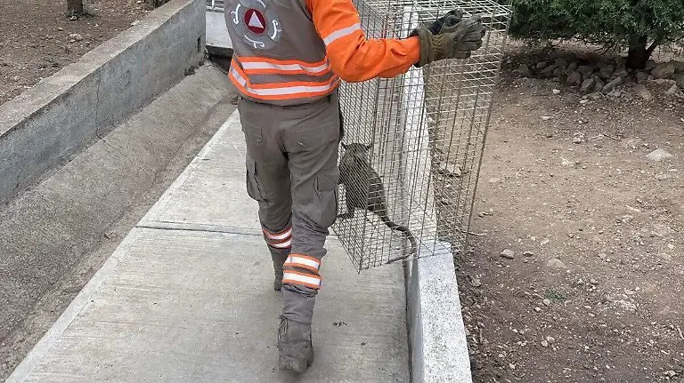 WhatsApp Image 2026-03-25 at 17.51.55