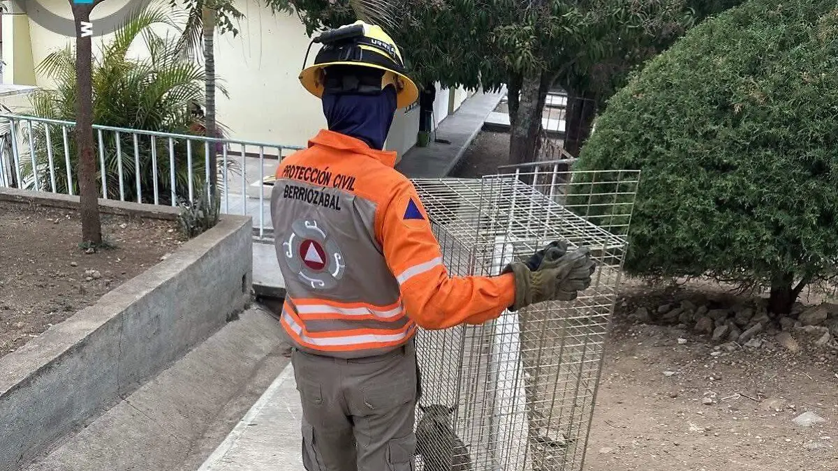 WhatsApp Image 2026-03-25 at 17.51.55