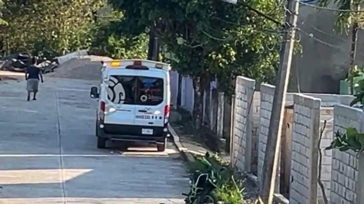 WhatsApp Image 2026-03-25 at 19.01.07