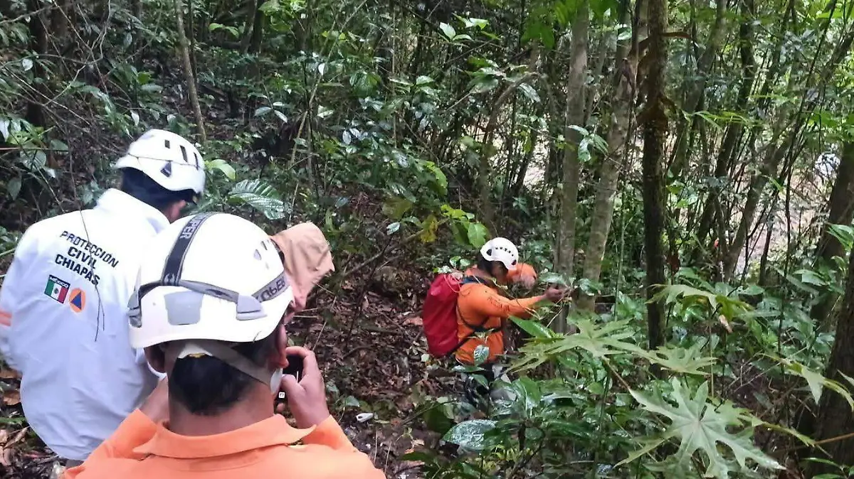 WhatsApp Image 2026-03-26 at 6.50.55 AM (1)