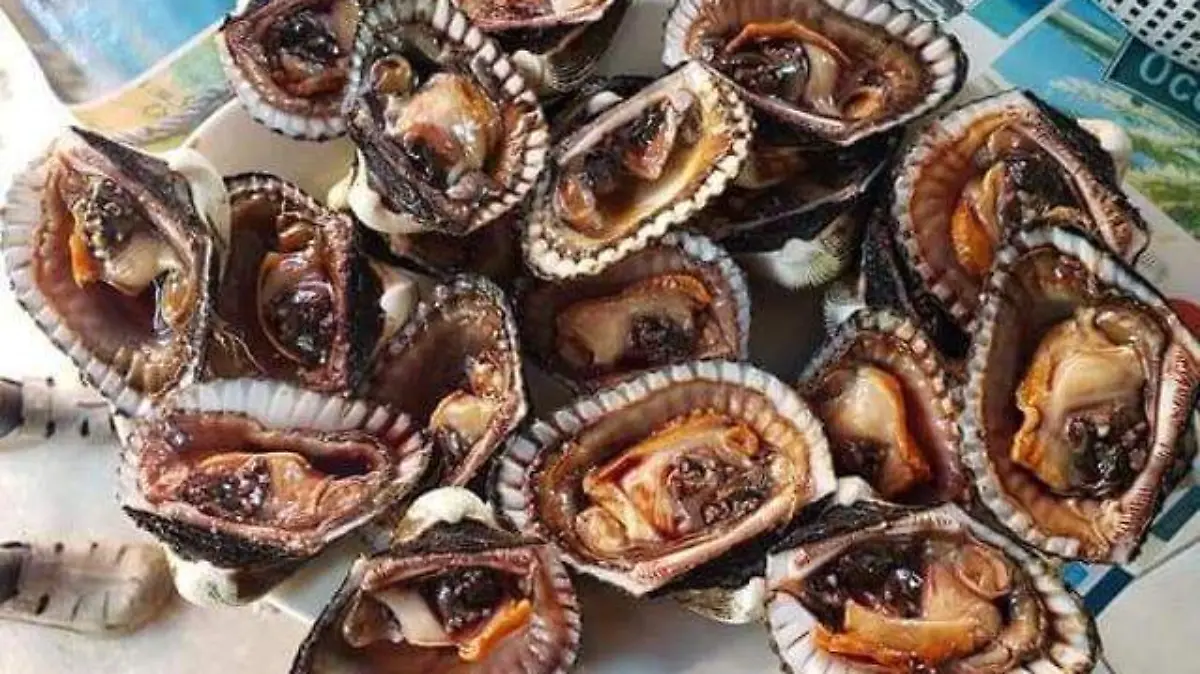 WhatsApp Image 2026-03-25 at 12.09.03 PM