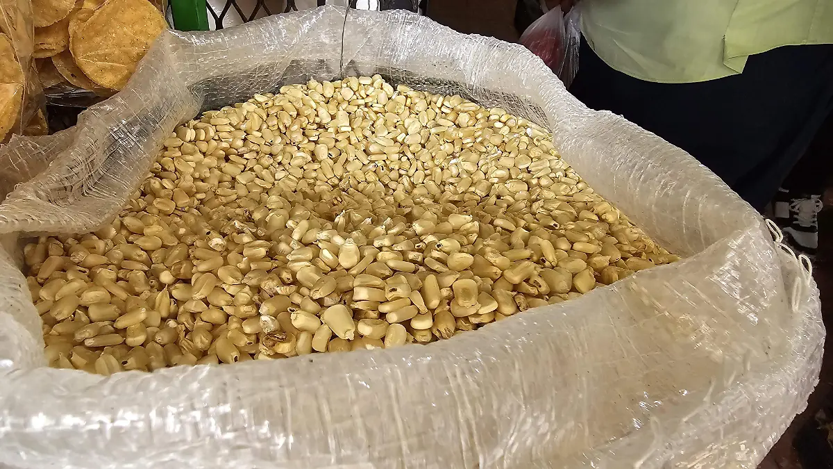 Maíz productores agricultura crisis Chiapas