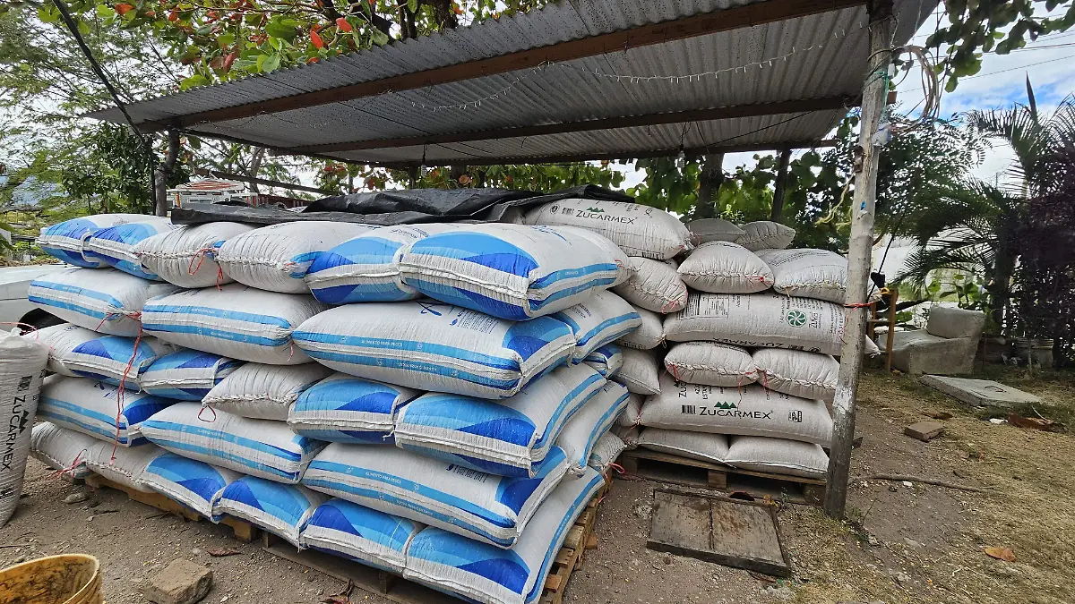 Maíz productores agricultura crisis Chiapas