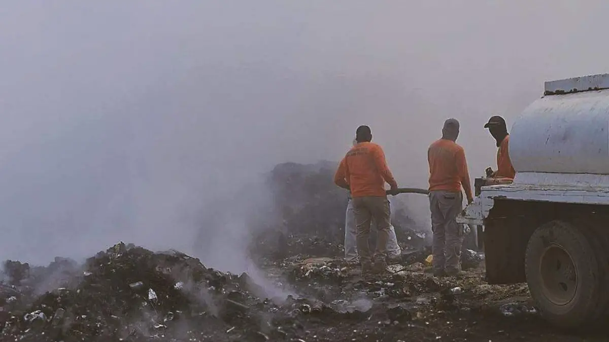 WhatsApp Image 2026-03-28 at 11.00.10 AM (1)