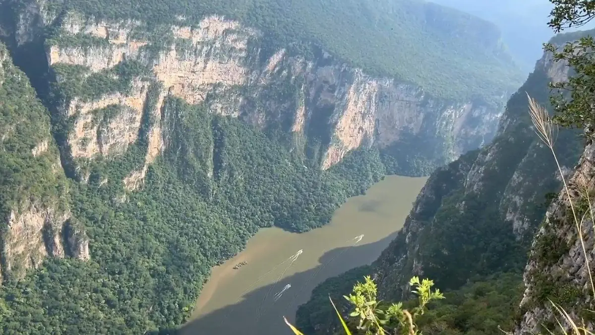 Screenshot_20260329_145811_YouTube