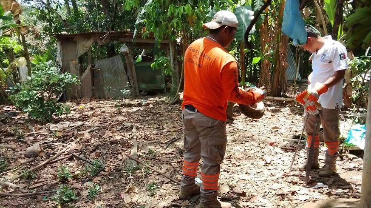 WhatsApp Image 2026-03-29 at 2.48.32 PM (2)