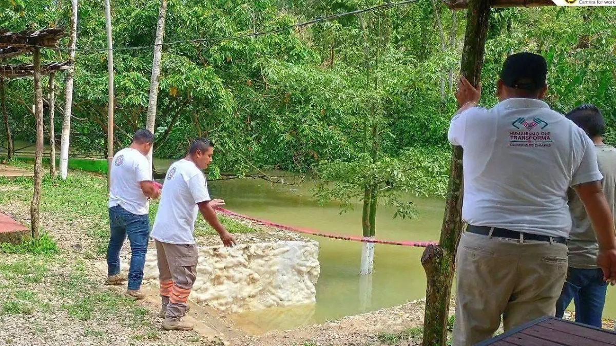 WhatsApp Image 2026-03-29 at 3.09.48 PM