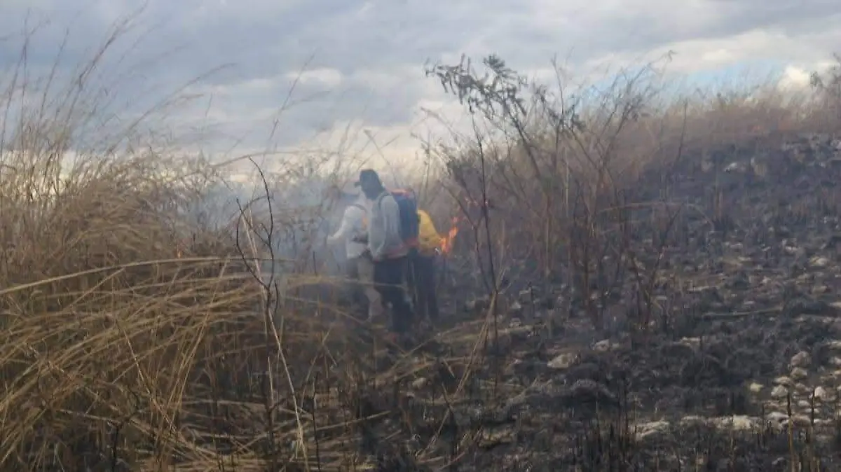 WhatsApp Image 2026-03-29 at 5.09.52 PM (1)