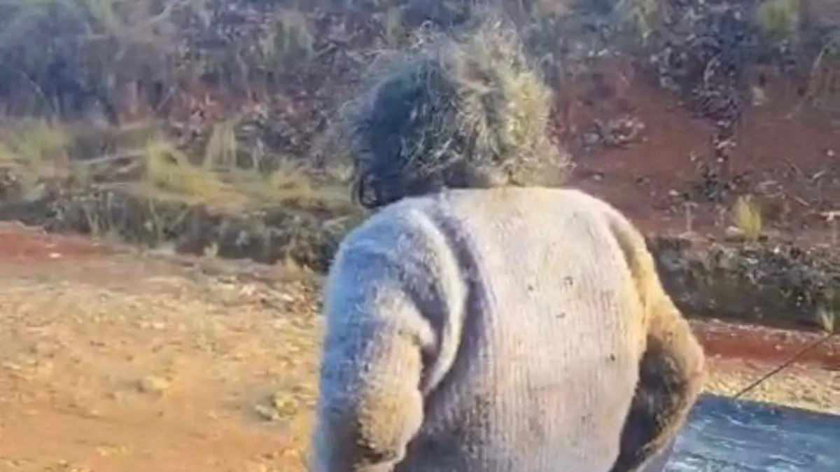 WhatsApp Image 2026-03-30 at 11.53.48 AM