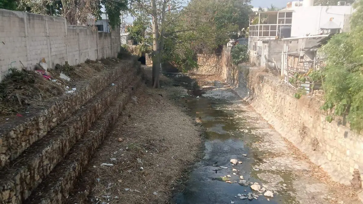 WhatsApp Image 2026-03-27 at 9.13.06 AM