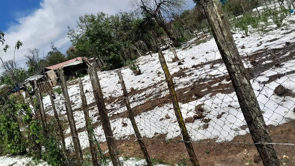 WhatsApp Image 2026-04-01 at 5.55.52 PM