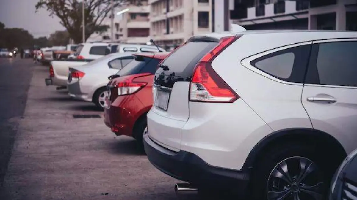 WhatsApp Image 2026-04-02 at 4.56.21 PM