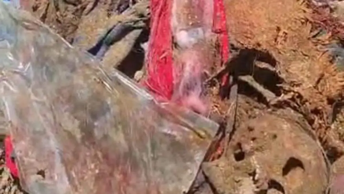 WhatsApp Image 2026-04-02 at 5.52.12 PM