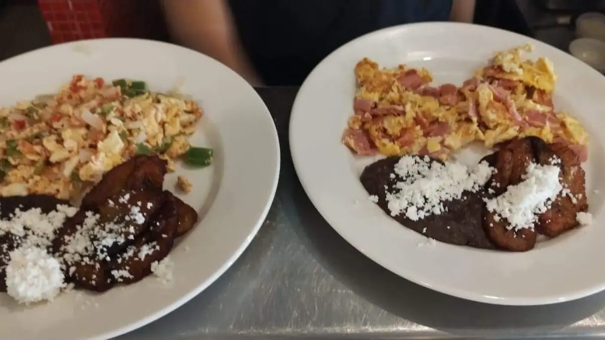 WhatsApp Image 2026-04-04 at 08.31.07