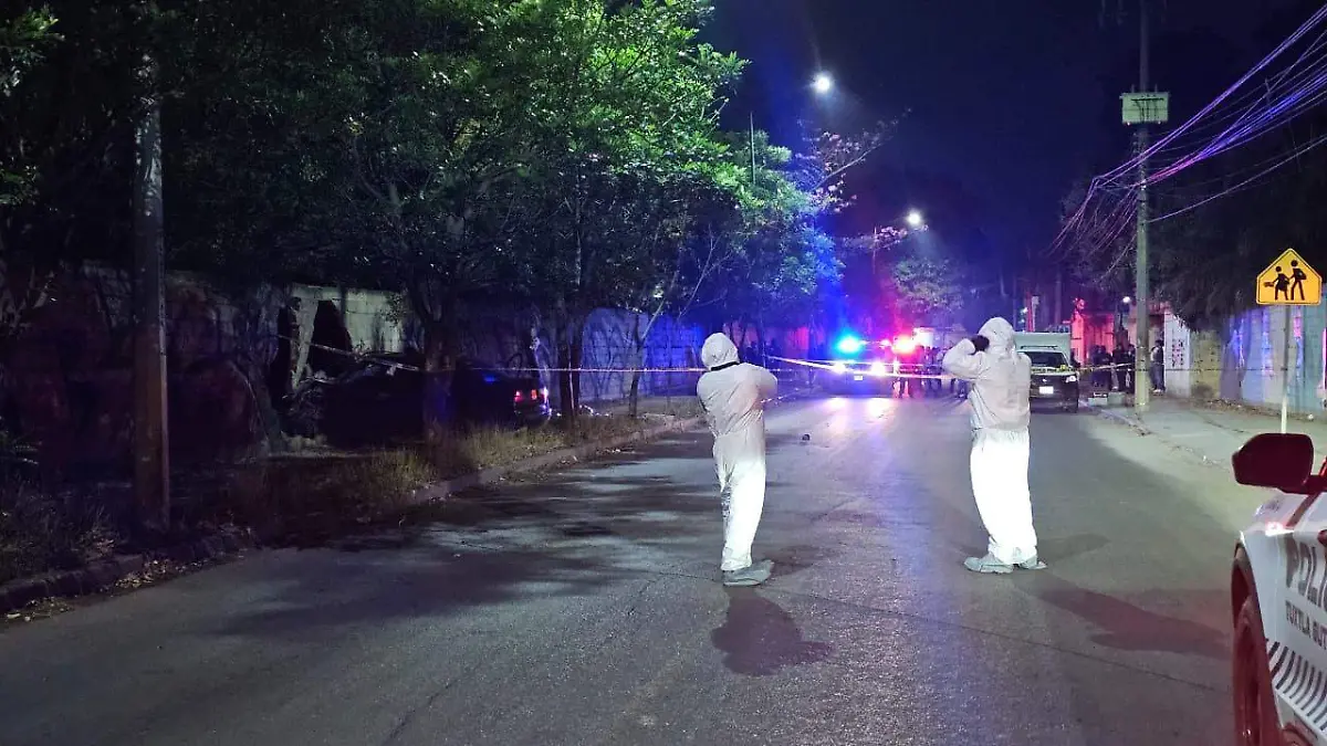 WhatsApp Image 2026-04-05 at 02.05.17