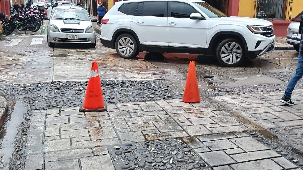 WhatsApp Image 2026-04-05 at 09.01.23 (2)