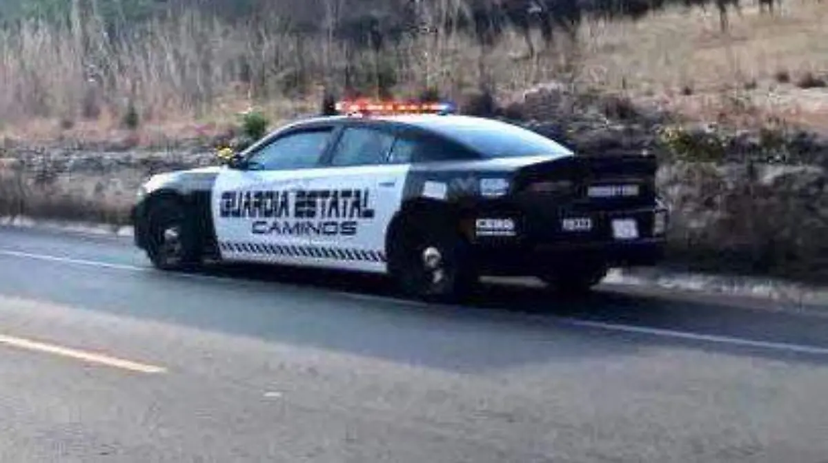 WhatsApp Image 2026-04-06 at 08.28.11