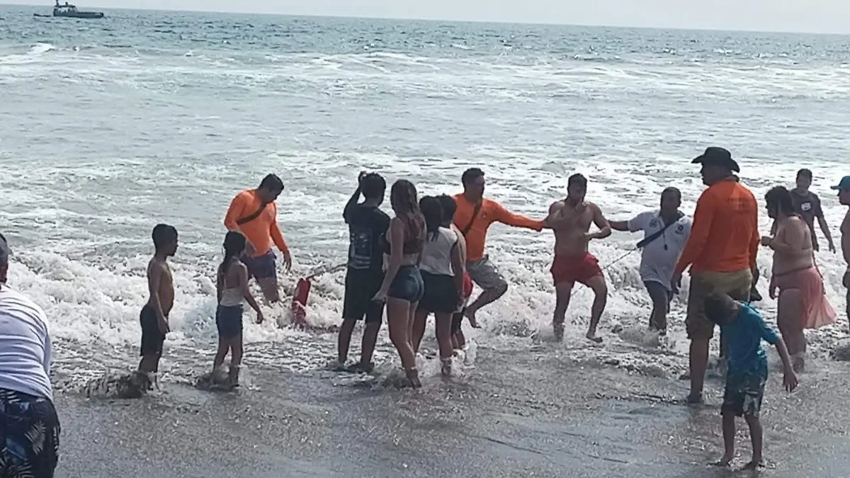 WhatsApp Image 2026-04-06 at 13.03.53