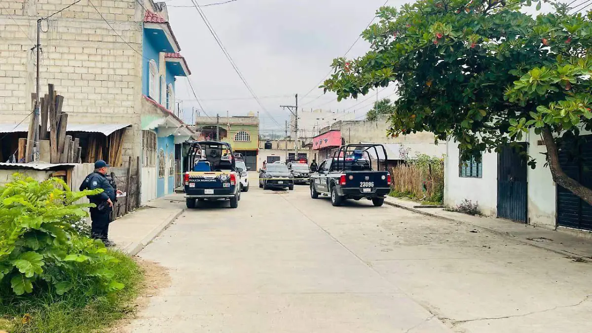 WhatsApp Image 2026-04-08 at 08.09.13