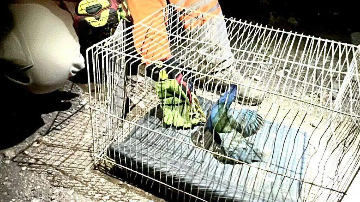 WhatsApp Image 2026-04-08 at 8.01.26 PM