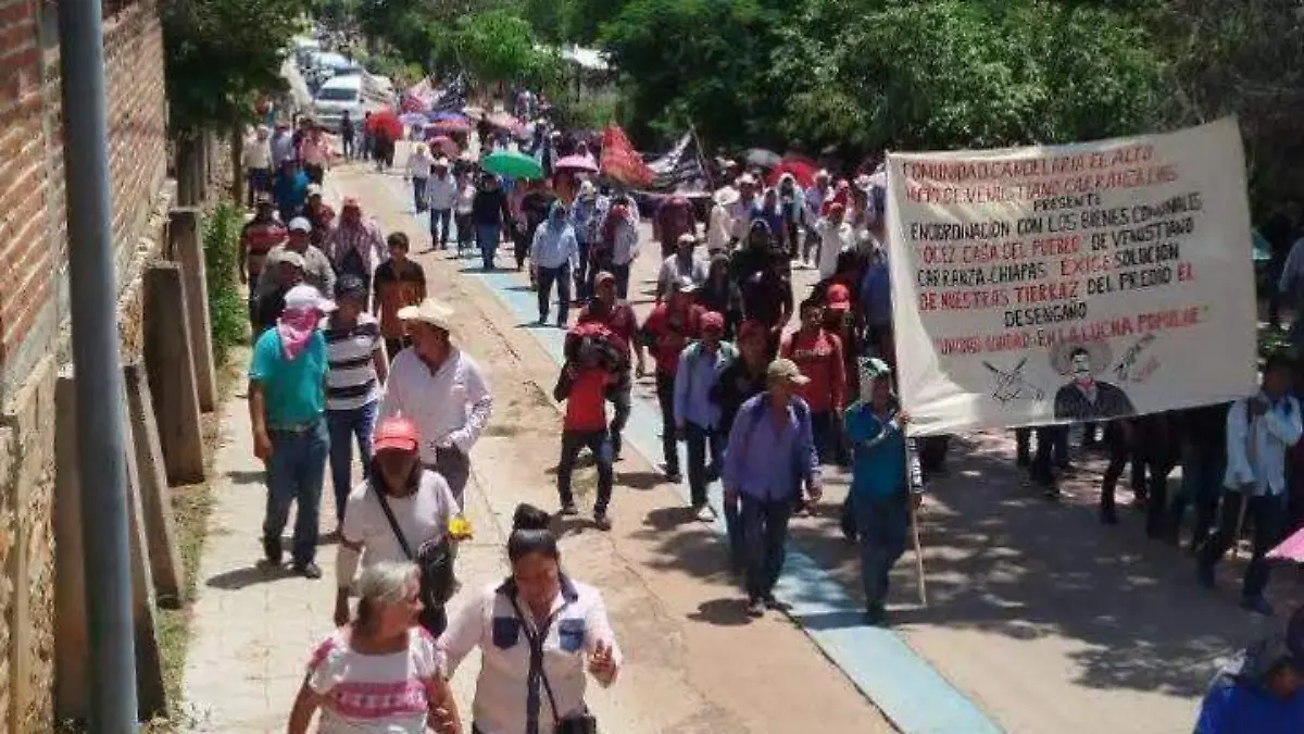 WhatsApp Image 2026-04-09 at 08.21.19