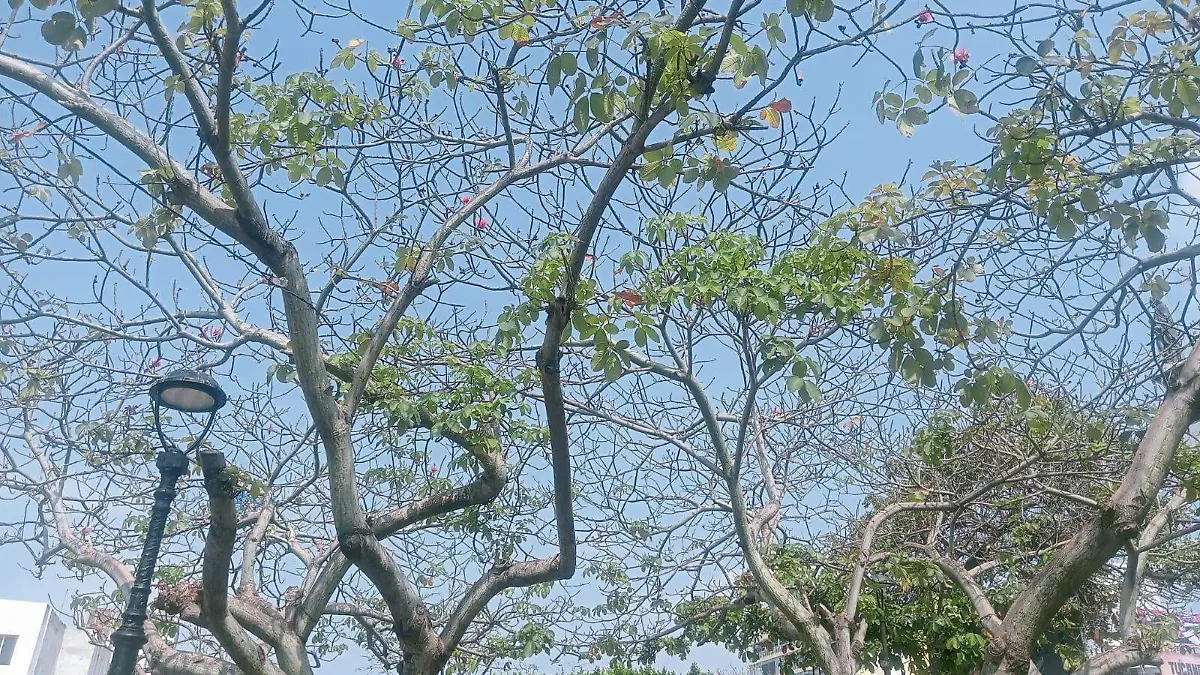 WhatsApp Image 2026-04-09 at 10.35.12