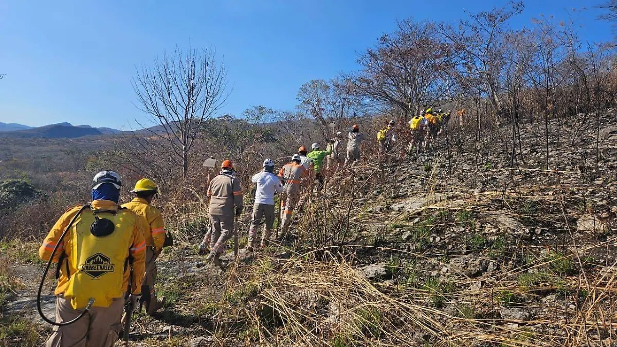 WhatsApp Image 2026-04-10 at 1.44.56 PM