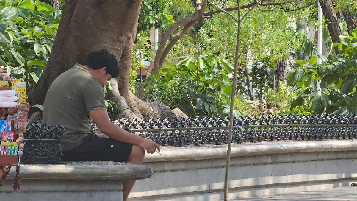 WhatsApp Image 2026-04-08 at 8.06.32 PM (2)