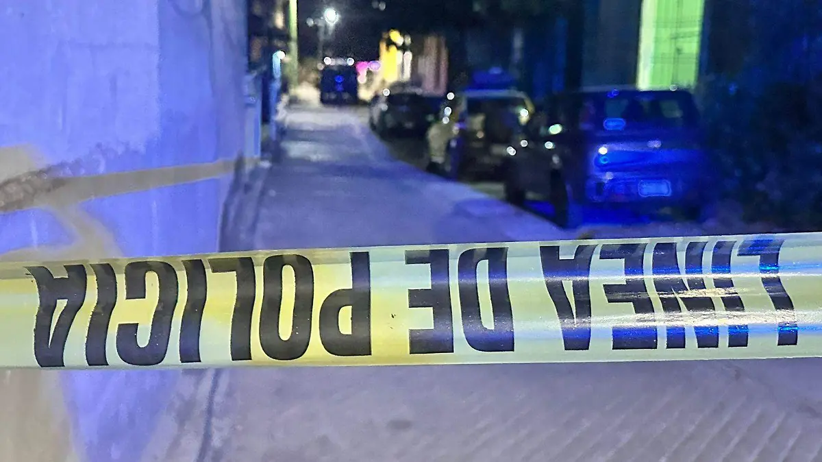 WhatsApp Image 2026-04-12 at 21.47.00