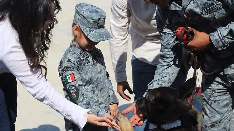 Guardia nacional ceremonia guardia honorario niña autista Shadia 
