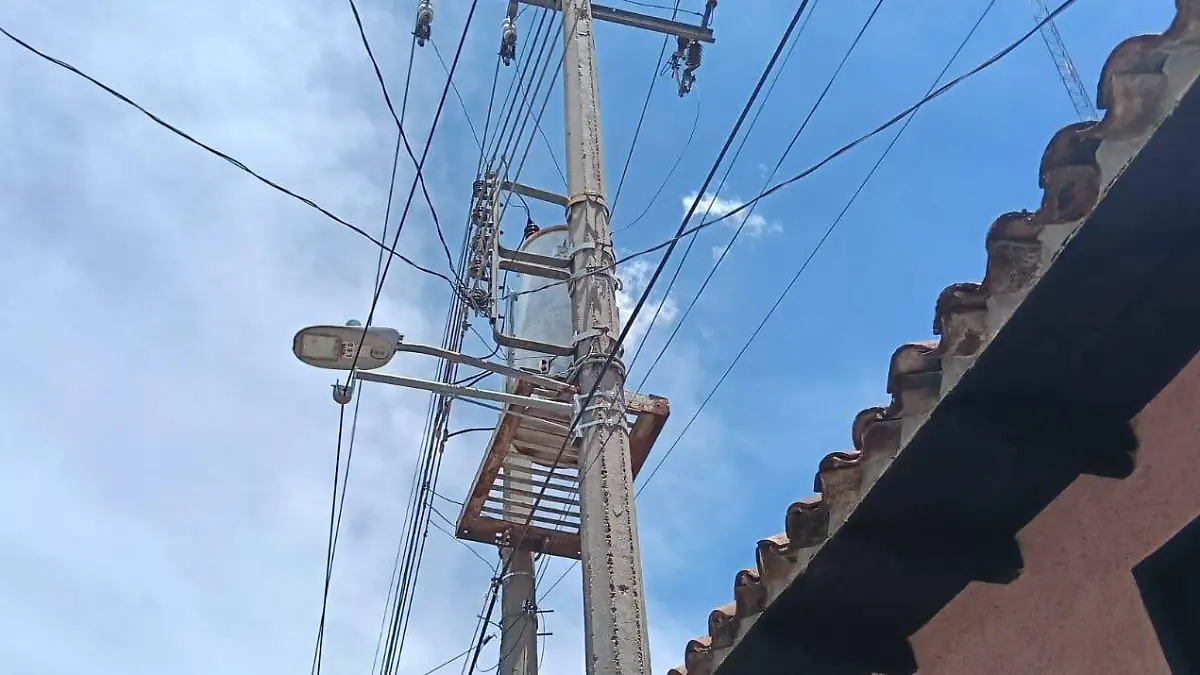 WhatsApp Image 2026-04-13 at 12.00.24