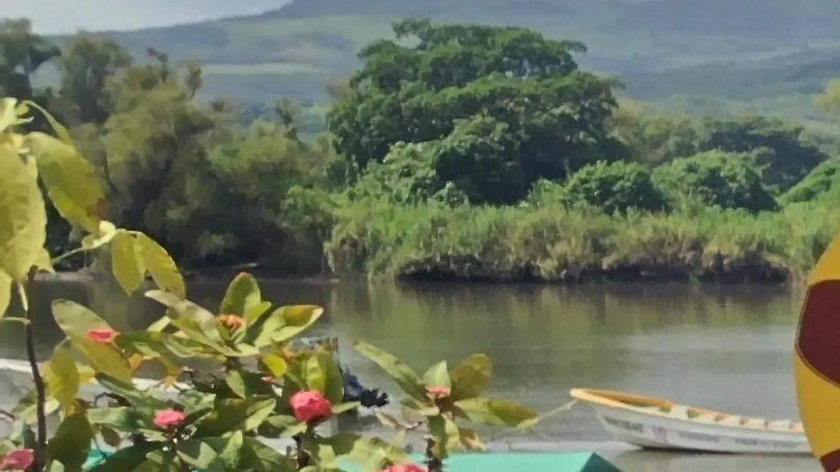 WhatsApp Image 2026-04-13 at 12.23.22