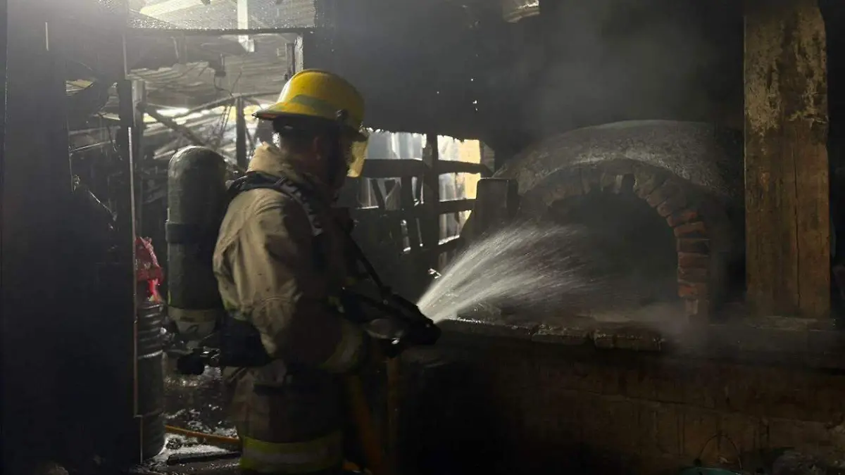 WhatsApp Image 2026-04-14 at 2.18.19 PM (1)