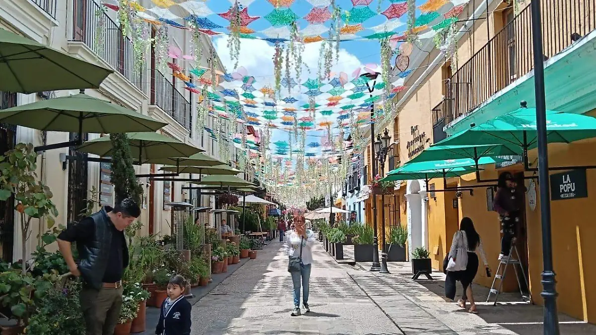 WhatsApp Image 2026-04-14 at 3.54.32 PM