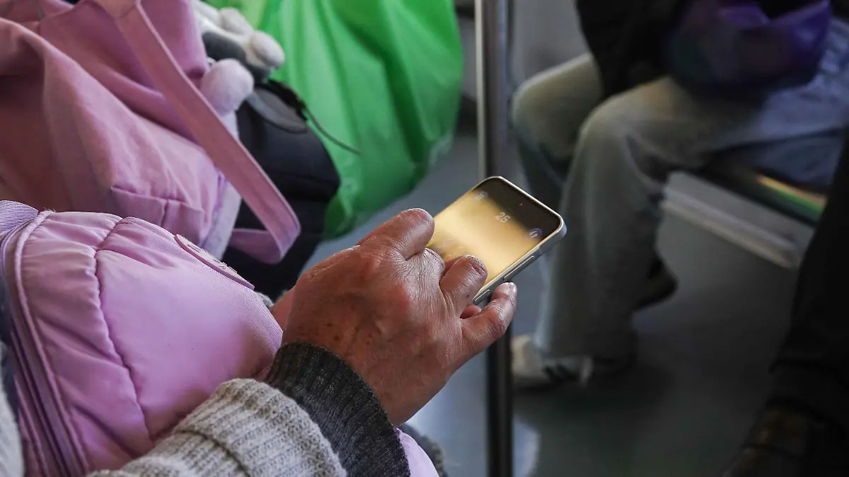 1064260_Vinculación Lineas Telefónicas_impreso