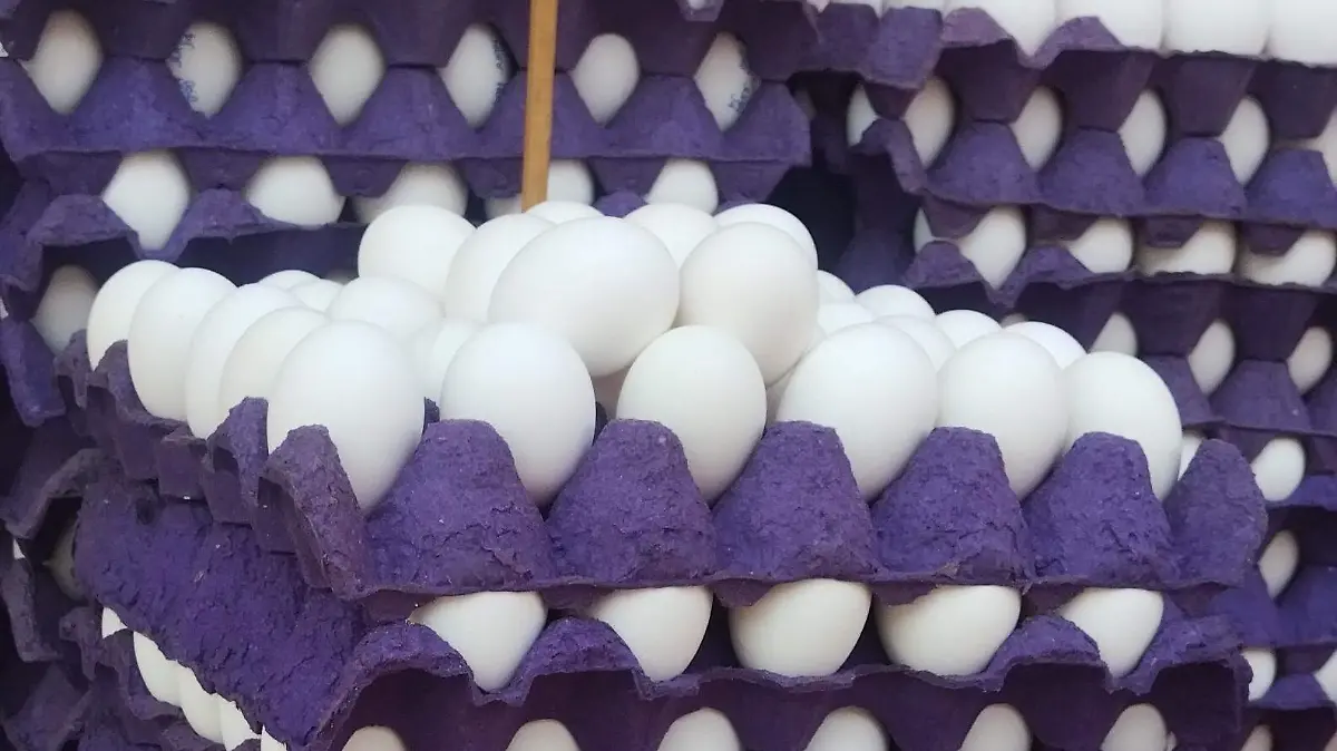 WhatsApp Image 2026-04-15 at 10.45.29