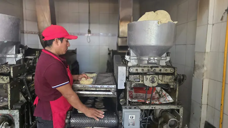 Costo de tortilla aumento de precios Tuxtla maíz 